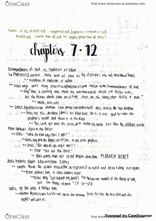 TESP 4 Chapter 7-12: Gospel of Mark 7-12 thumbnail