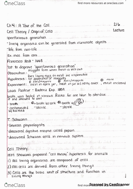 BIO_SC 1500 Lecture 3: The Cell thumbnail