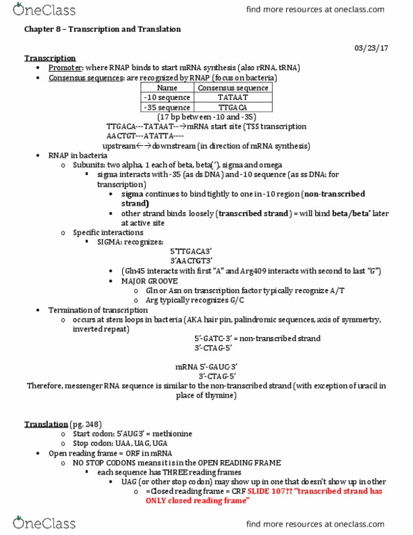 CAS BI 216 Lecture Notes - Lecture 5: Reading Frame, Stop Codon, Aminoacyl Trna Synthetase thumbnail