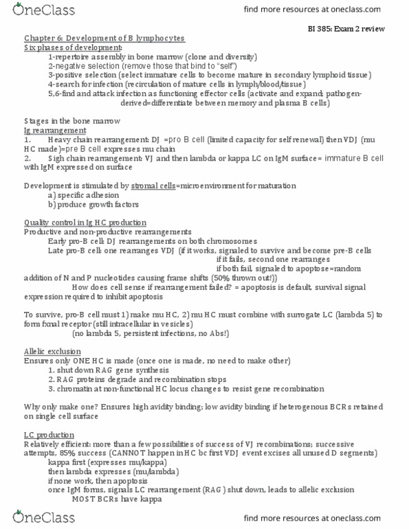 Cas Bi 385 Study Guide Spring 17 Midterm Basophil Growth Factor Immunotherapy