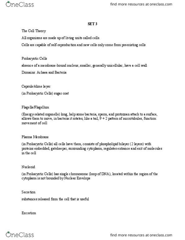 BIOL 1400 Lecture Notes - Lecture 3: Protein Filament, Nucleolus, Chromosome thumbnail