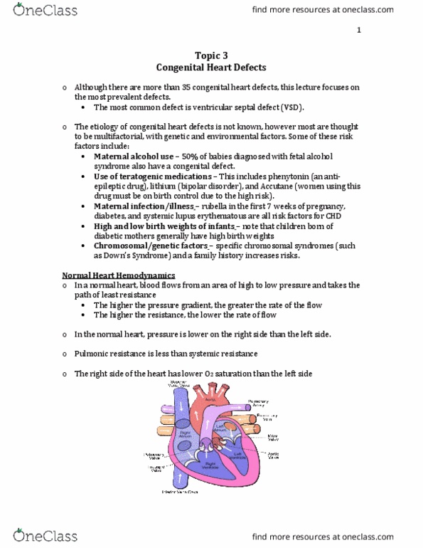 NURS 3012 Lecture Notes - Lecture 3: Pulmonary Circulation, Ventricular Hypertrophy, Superior Vena Cava thumbnail