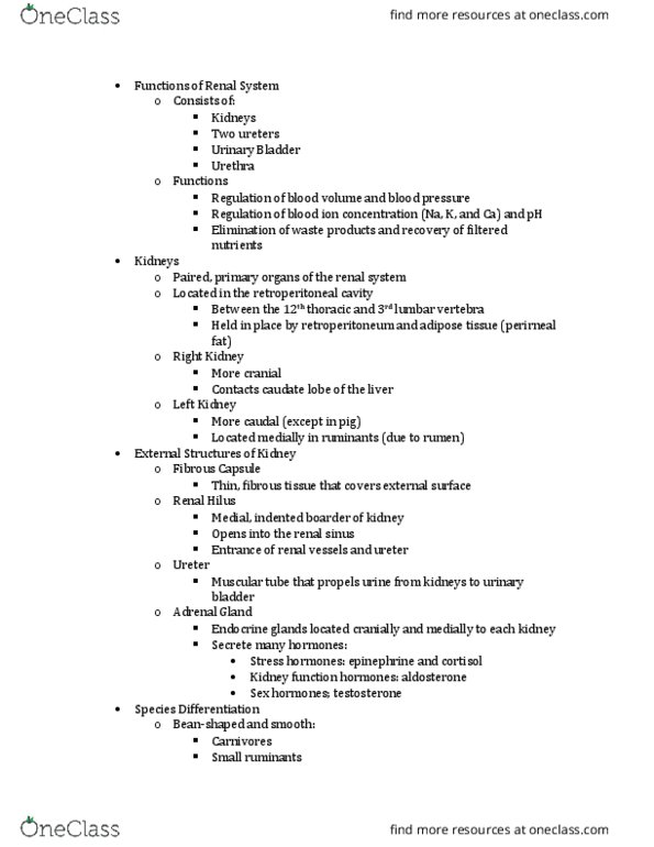 ANEQ 105 Lecture Notes - Lecture 6: Railways Act 1921, Proximal Tubule, Lumbar Vertebrae thumbnail