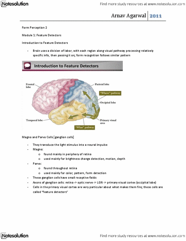 PSYCH 1XX3 Lecture Notes - Teddy Bear, Critical Period, Prosopagnosia thumbnail