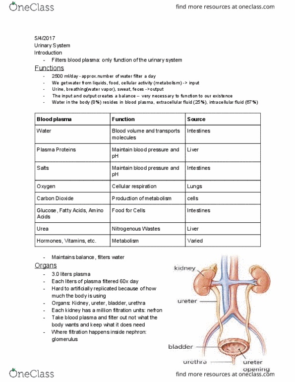 BI 103 Lecture Notes - Lecture 13: Kidney Stone Disease, Fluid Compartments, Ureter thumbnail