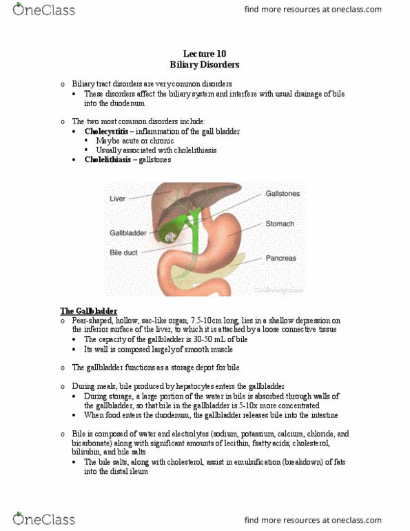 NURS 3014 Lecture Notes - Lecture 11: Cystic Duct, Enterohepatic Circulation, Scapula thumbnail