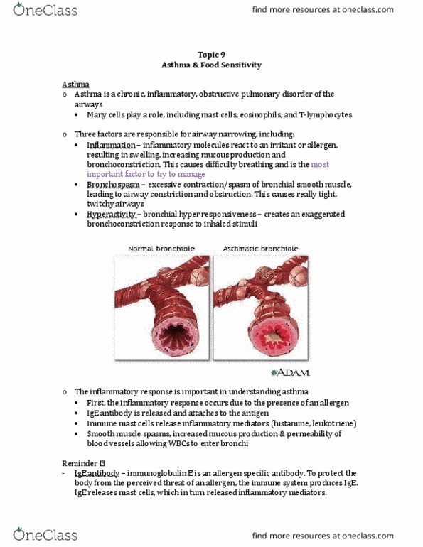NURS 3012 Lecture Notes - Lecture 9: Respiratory Acidosis, Hypotension, Smooth Muscle Tissue thumbnail