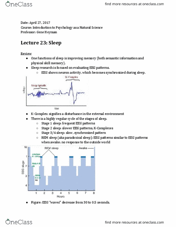 PSYC 1121 Lecture Notes - Lecture 8: Prefrontal Cortex, Slow-Wave Sleep, Atony thumbnail