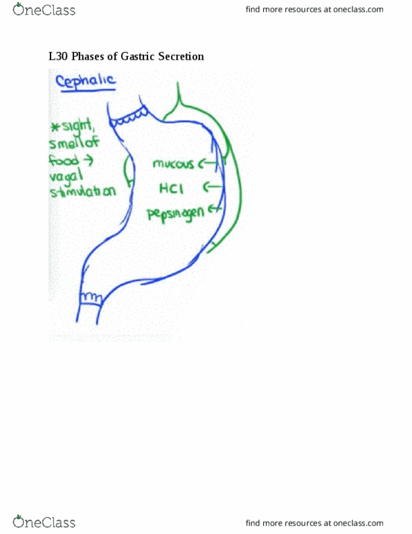 ZOOL242 Lecture Notes - Lecture 30: L30 thumbnail