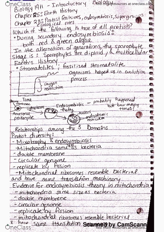 BIOL 1911 Lecture 12: new doc 1 thumbnail