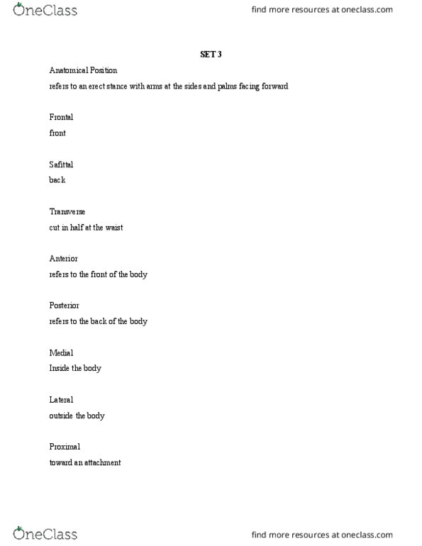 ATTR 1100 Lecture Notes - Lecture 3: Epiphysis, Dermis, Hyaline thumbnail