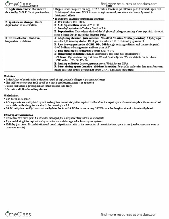 BIOL308 Lecture Notes - Lecture 8: Guanine, Mutation, Homologous Recombination thumbnail