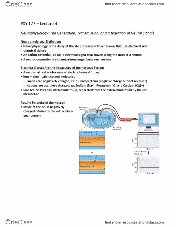 document preview image