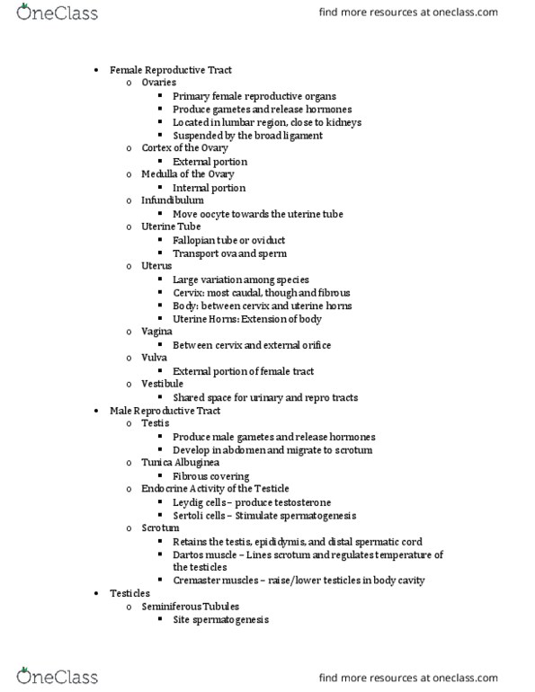 ANEQ 105 Lecture Notes - Lecture 7: Dartos, List Of Domesticated Animals, Broad Ligament Of The Uterus thumbnail