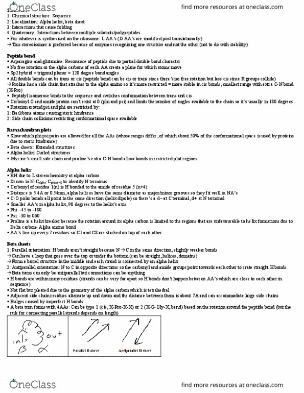 CHEM237 Lecture Notes - Lecture 9: Alpha And Beta Carbon, Trigonal Planar Molecular Geometry, Beta Turn thumbnail