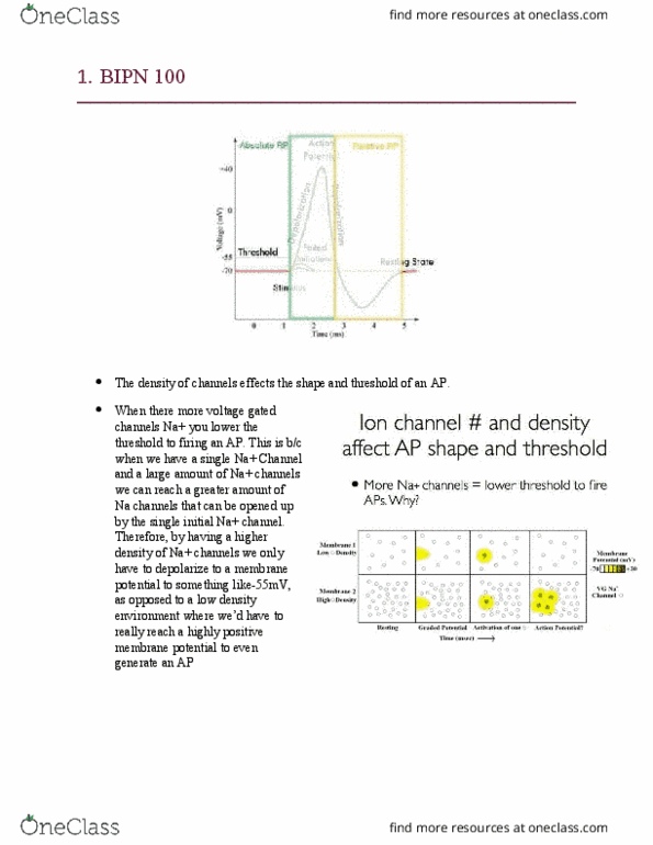 BIPN 102 Lecture Notes - Lecture 7: Axon Terminal, Reversal Potential, Membrane Potential thumbnail