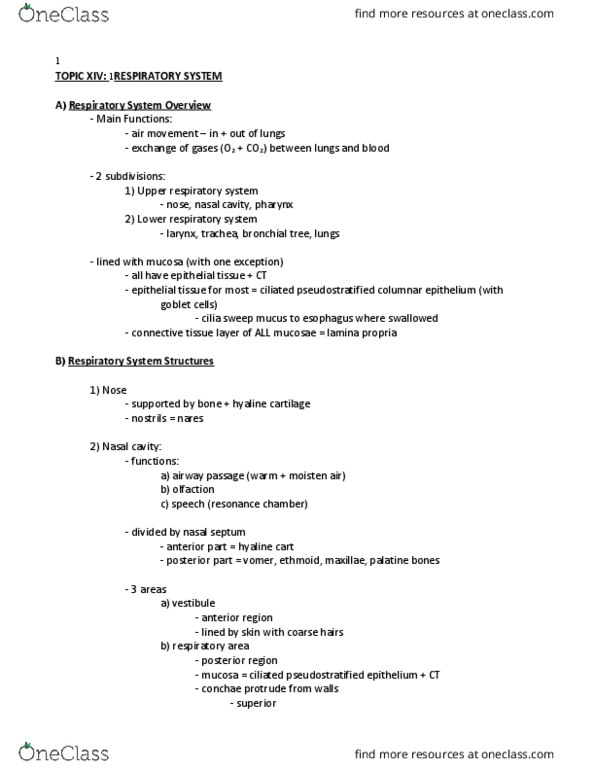 BIOL 1412 Lecture Notes - Lecture 14: Pseudostratified Columnar Epithelium, Nasal Concha, Nasal Septum thumbnail