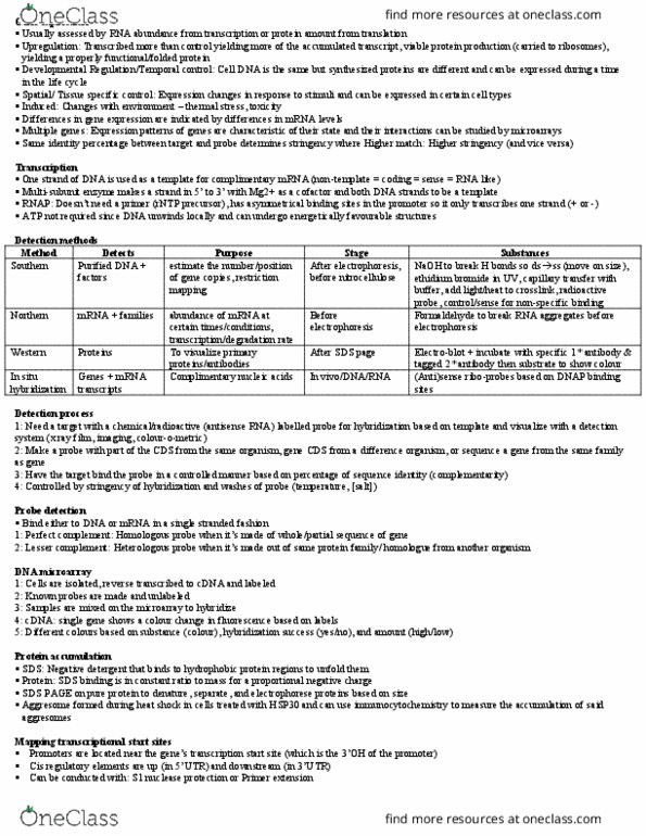 BIOL308 Lecture Notes - Lecture 11: Antisense Rna, Ethidium Bromide, Aspergillus Nuclease S1 thumbnail