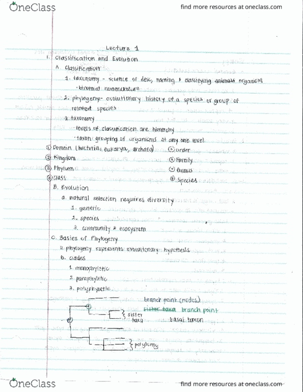 01:119:116 Lecture Notes - Lecture 1: Lysogenic Cycle, Prophage, Capsomere thumbnail