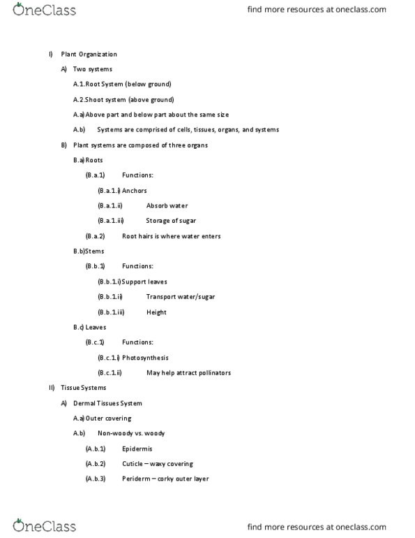 01:119:116 Lecture Notes - Lecture 10: Cork Cambium, Soda Straw, Plasmodesma thumbnail