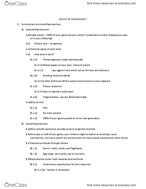 01:119:116 Lecture Notes - Lecture 14: Seminiferous Tubule, Sequential Hermaphroditism, Vas Deferens thumbnail