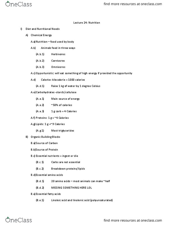 01:119:116 Lecture Notes - Lecture 24: Essential Amino Acid, Neural Tube Defect, Disulfide thumbnail