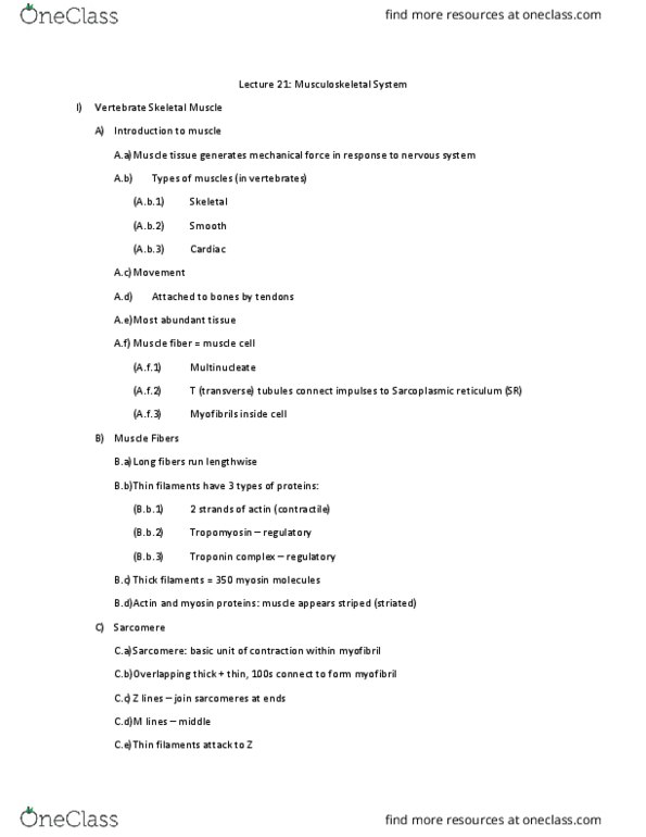 01:119:116 Lecture Notes - Lecture 21: Sliding Filament Theory, Rigor Mortis, Troponin thumbnail