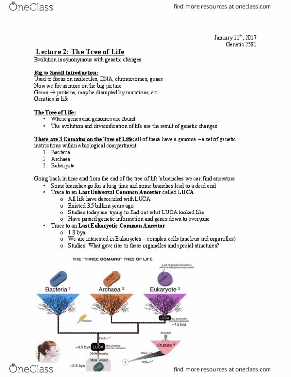 Biology 2581B Lecture Notes - Lecture 2: Carl Woese, Archaea, Genomics thumbnail