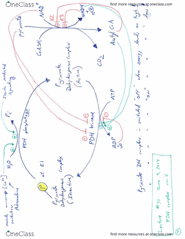 BIOC 202 Lecture Notes - Lecture 10: Mator Language, Flavin Mononucleotide, Units Of Paper Quantity thumbnail