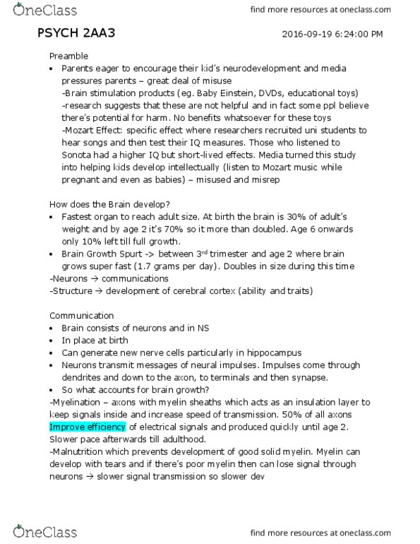 PSYCH 2AA3 Lecture Notes - Lecture 3: Synaptic Pruning, Cerebral Cortex, Frontal Lobe thumbnail