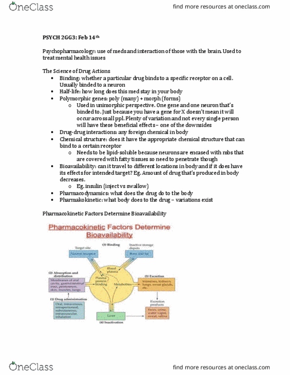 PSYCH 2GG3 Lecture Notes - Lecture 6: Nocebo, Semisynthesis, Etorphine thumbnail