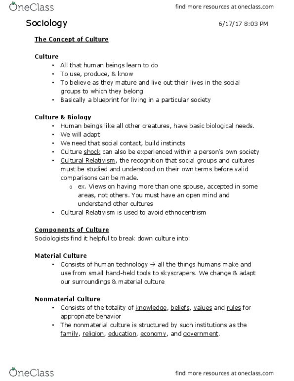 SOC 1001 Lecture Notes - Lecture 1: Cultural Relativism, Culture Shock, Incest thumbnail