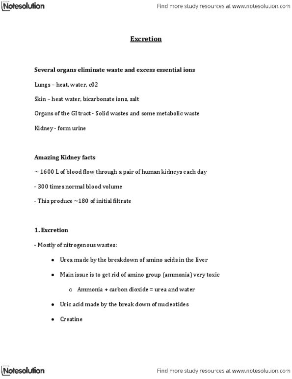 BIOL 1175 Lecture Notes - Urethritis, Urinary Tract Infection, Anemia thumbnail