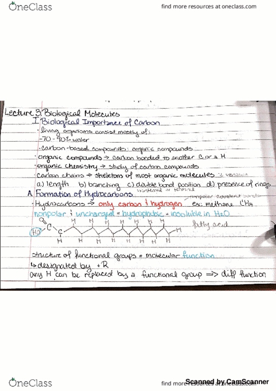 01:119:115 Lecture 3: Bio 115 Lecture 3. Biological Molecules thumbnail