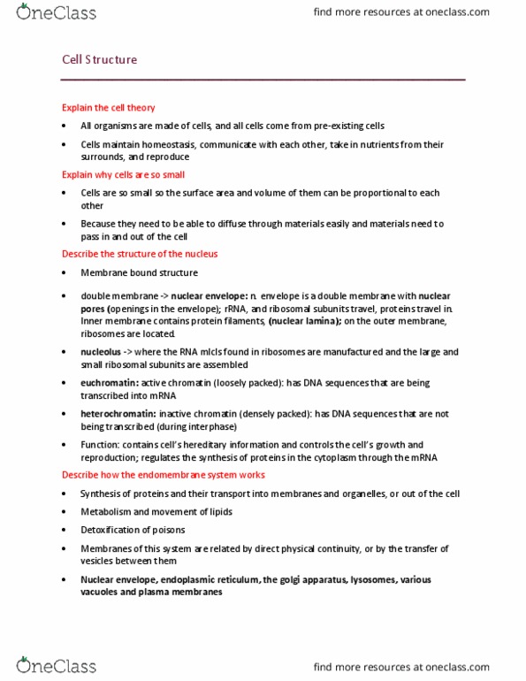 BISC 101 Lecture Notes - Lecture 3: Nuclear Membrane, Golgi Apparatus, Nuclear Lamina thumbnail