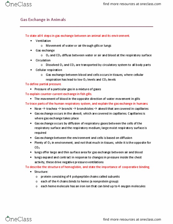 BISC 101 Lecture Notes - Lecture 19: Cellular Respiration, Cooperative Binding, Partial Pressure thumbnail