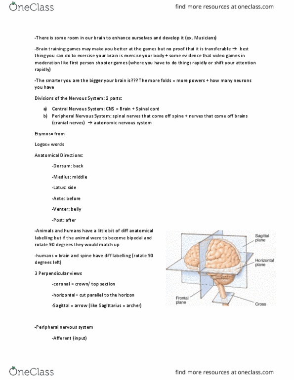 Psychology 2220A/B Lecture Notes - Lecture 2: Spinal Cord Injury, Posterior Cerebral Artery, Anterior Cerebral Artery thumbnail