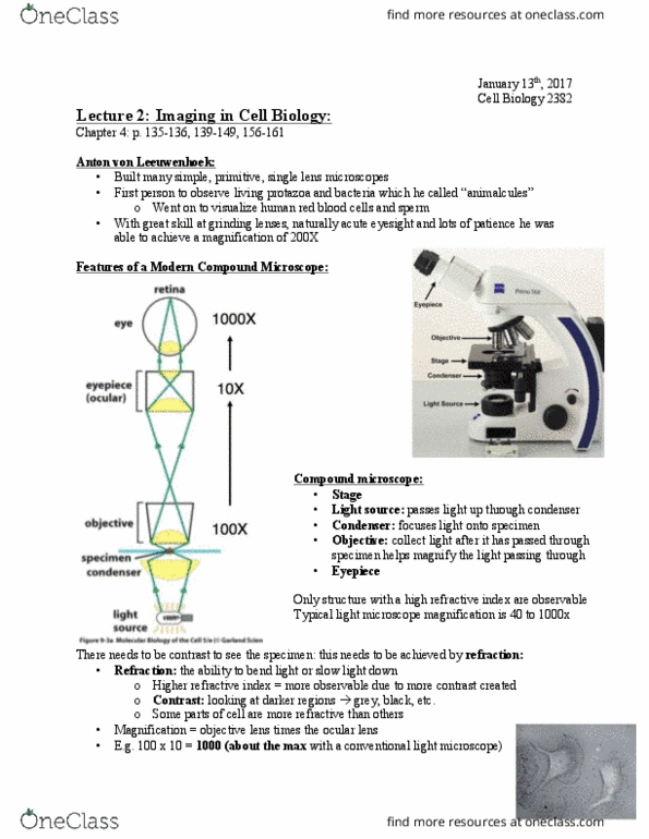 Biology 2382B Lecture Notes - Lecture 2: Fluorescence Microscope, Dichroic Filter, Green Fluorescent Protein thumbnail