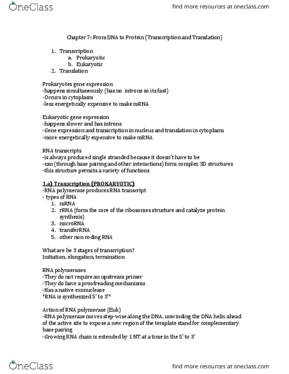 BIOL 2202 Lecture Notes - Lecture 4: Rna Splicing, Tata Box, Eukaryotic Transcription thumbnail