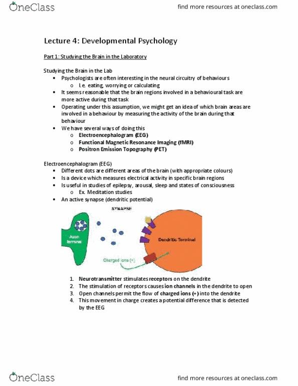 PSY100H1 Lecture Notes - Lecture 4: Functional Magnetic Resonance Imaging, Radioactive Tracer, Mirror Test thumbnail