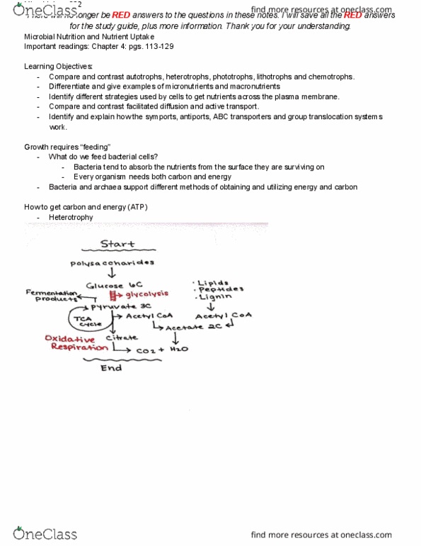 MICRO 302 Lecture Notes - Lecture 11: Facilitated Diffusion, Microbiology, Cell Membrane thumbnail