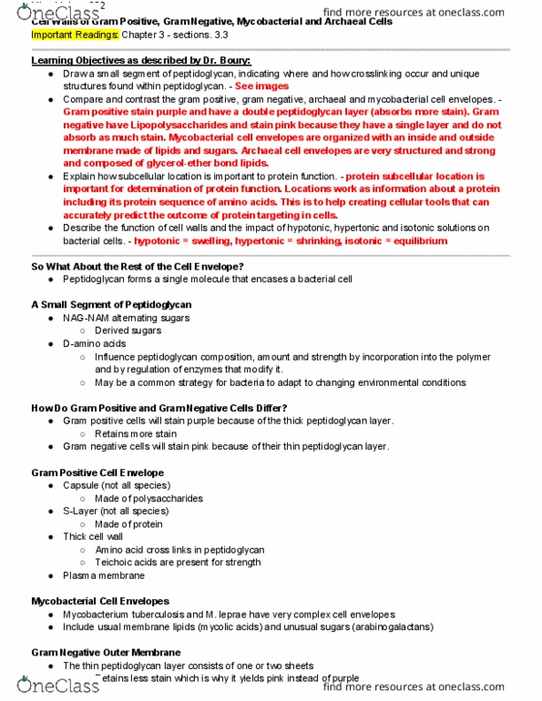 MICRO 302 Lecture Notes - Lecture 8: Mycobacterium Tuberculosis, Gram-Negative Bacteria, Gram-Positive Bacteria thumbnail