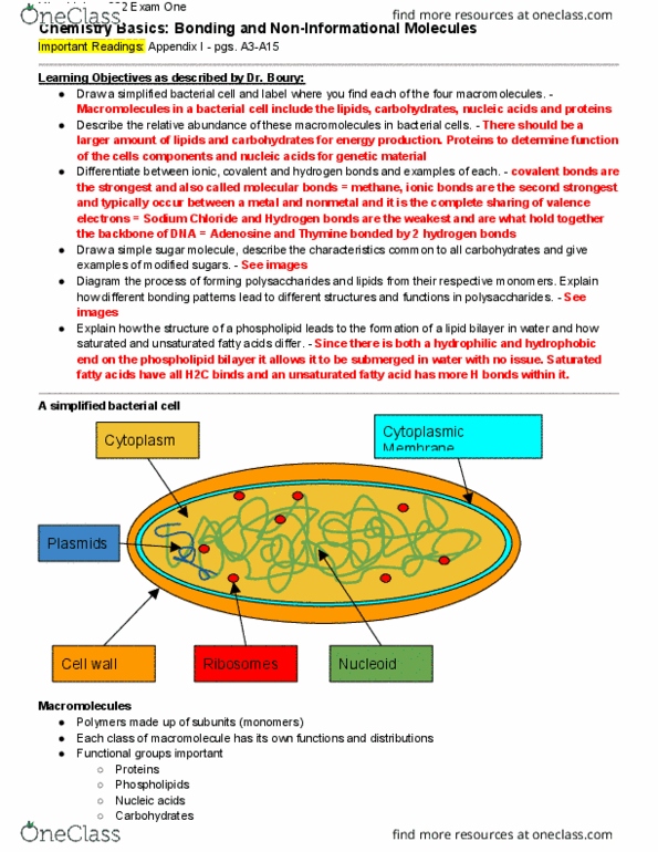 MICRO 302 Lecture Notes - Lecture 3: Lipid Bilayer, Monosaccharide, Microbiology thumbnail