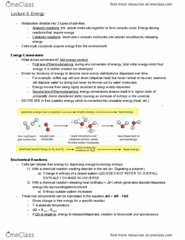 BIOL 112 Lecture Notes - Lecture 5: Endergonic Reaction, Phosphate, Inequation thumbnail