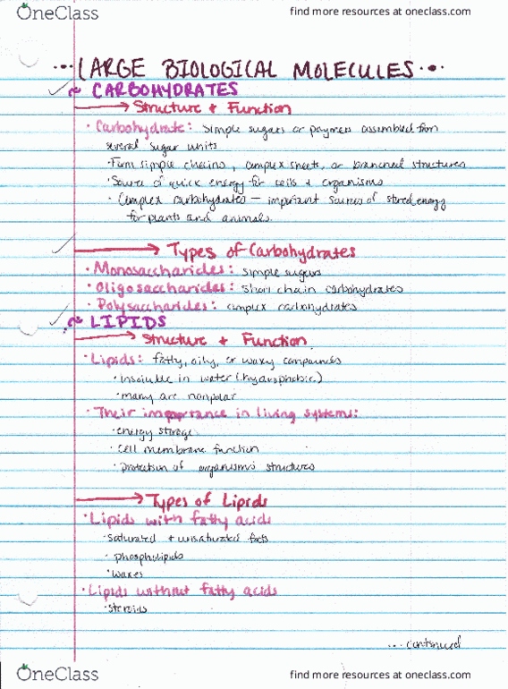 BIOL 204H Lecture 11: Large Biological Molecules thumbnail