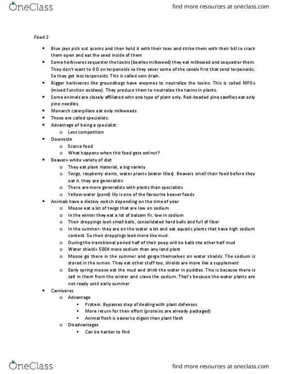 BIOL 1902 Lecture Notes - Lecture 11: Parasitoid, Sawfly, Embryophyte thumbnail