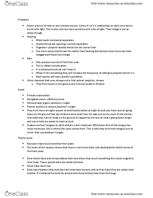 BIOL 1902 Lecture Notes - Lecture 12: Boreal Owl, Vomeronasal Organ, Cool Air thumbnail