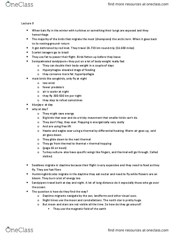 BIOL 1902 Lecture Notes - Lecture 2: Rete Mirabile, Filter Feeder, Flesh Fly thumbnail