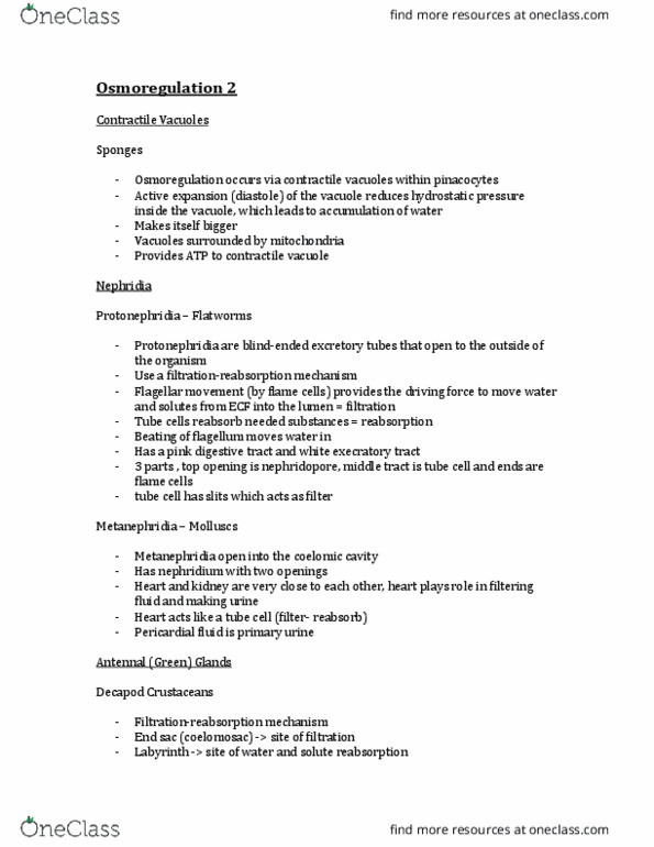 BIOB34H3 Lecture Notes - Lecture 7: Distal Convoluted Tubule, Renal Function, Renal Pelvis thumbnail