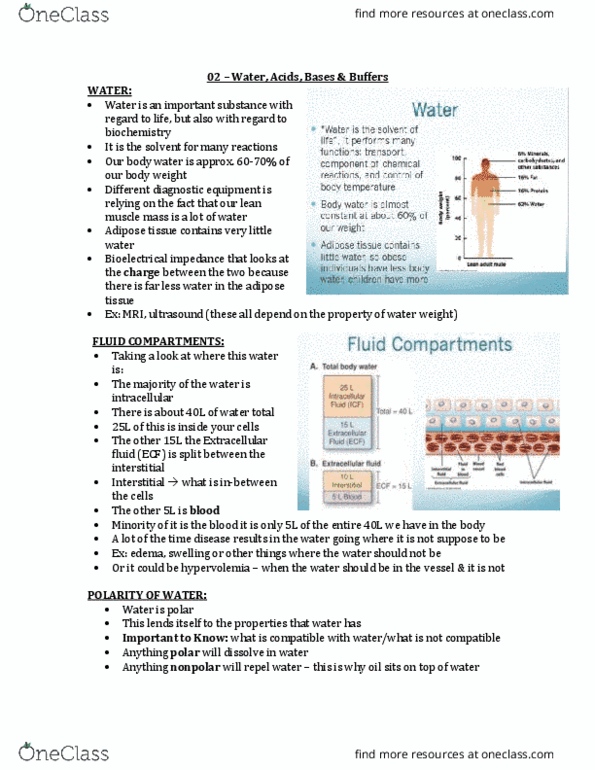 HTHSCI 1LL3 Lecture Notes - Lecture 2: Extracellular Fluid, Red Blood Cell, Water–Electrolyte Imbalance thumbnail